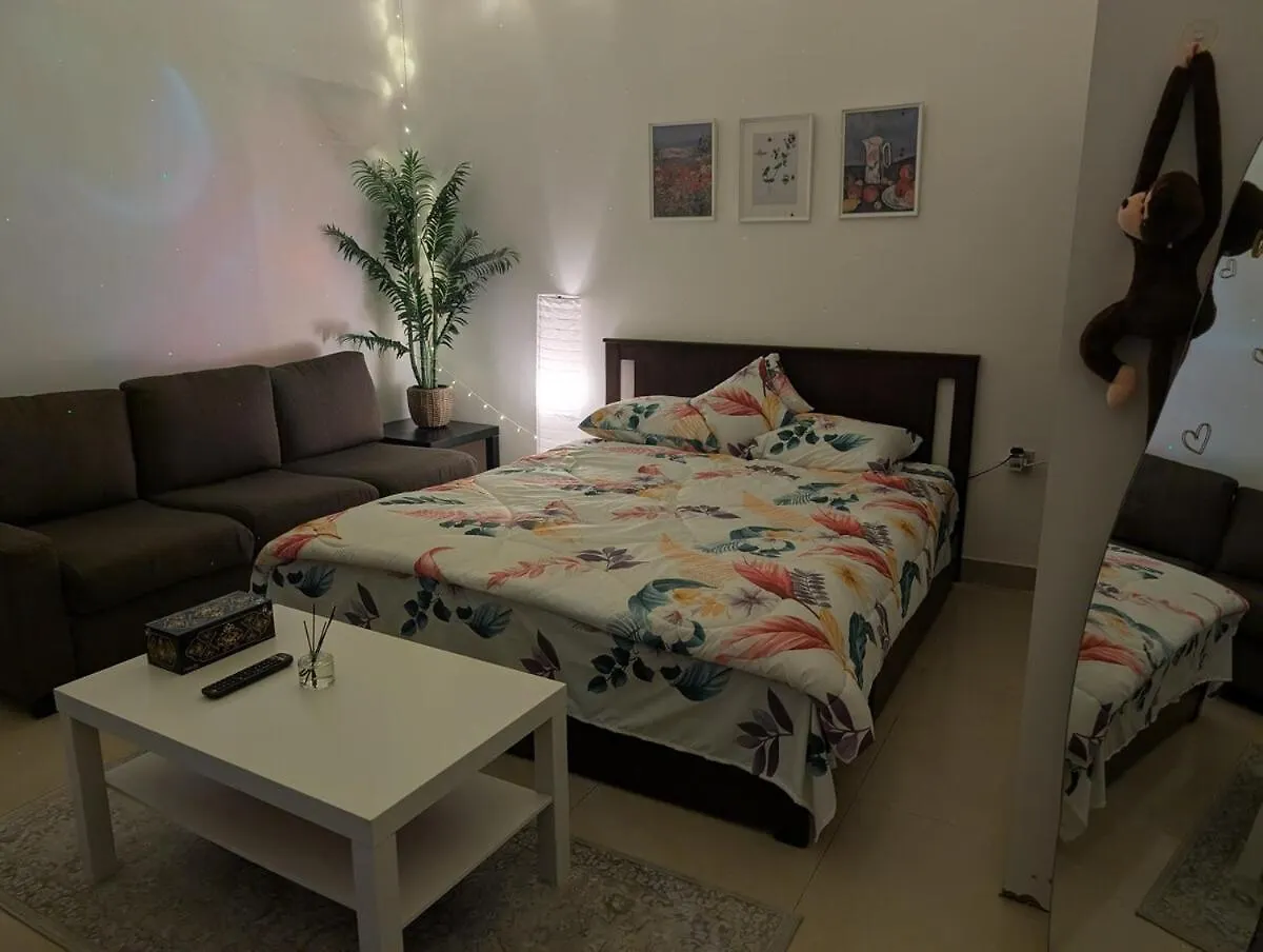 Cozy Studio Apartment Big Place أبو ظبي