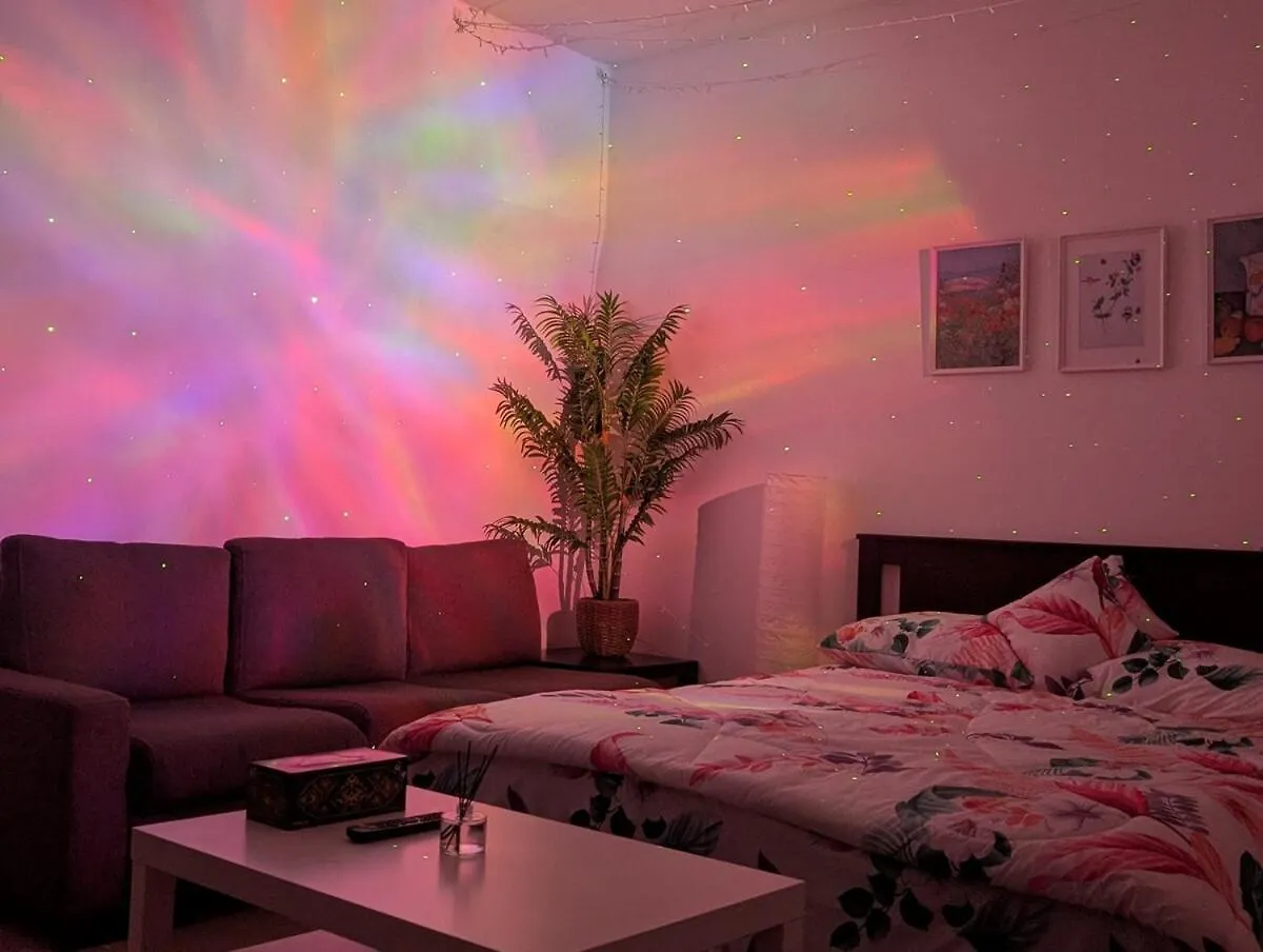 Cozy Studio Apartment Big Place أبو ظبي